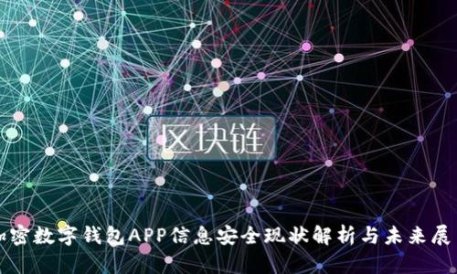 加密数字钱包APP信息安全现状解析与未来展望