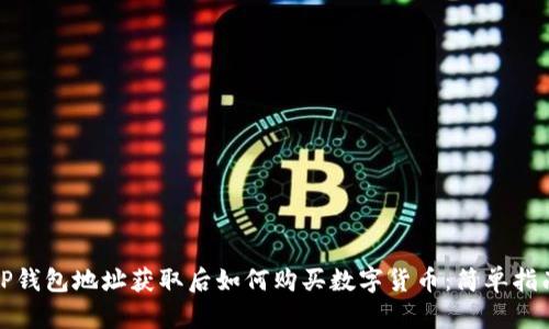 TP钱包地址获取后如何购买数字货币：简单指南