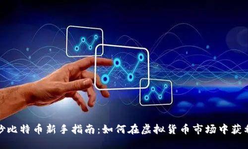 炒比特币新手指南：如何在虚拟货币市场中获利