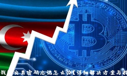 
TP钱包交易密码忘记怎么办？详细解决方案与指导
