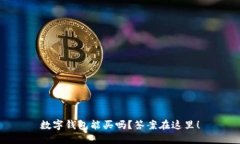 数字钱包能买吗？答案在