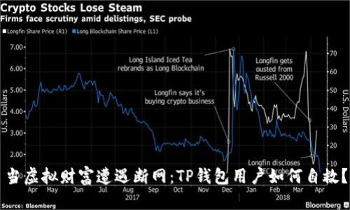 当虚拟财富遭遇断网：TP钱包用户如何自救？