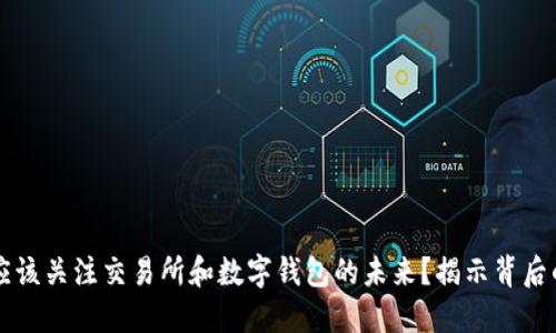 为什么你也应该关注交易所和数字钱包的未来？揭示背后的机遇与挑战