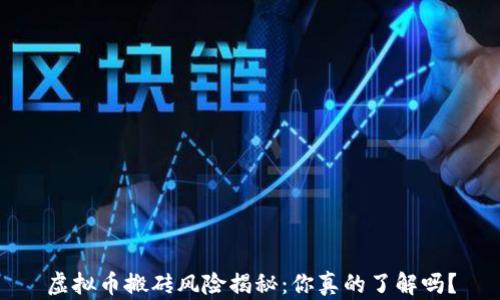 
虚拟币搬砖风险揭秘：你真的了解吗？
