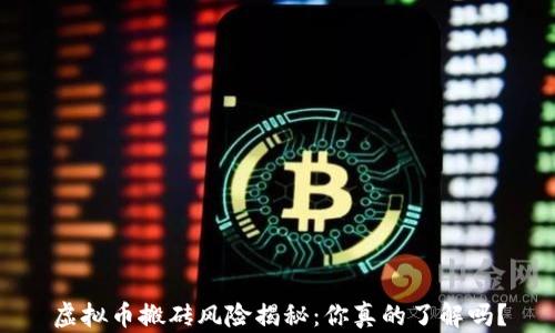 
虚拟币搬砖风险揭秘：你真的了解吗？