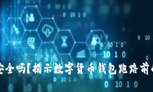 你的钱包安全吗？揭示数字货币钱包跑路前的五大信号