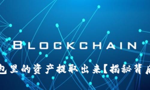 如何安全地将TP钱包里的资产提取出来？揭秘背后的步骤与注意事项