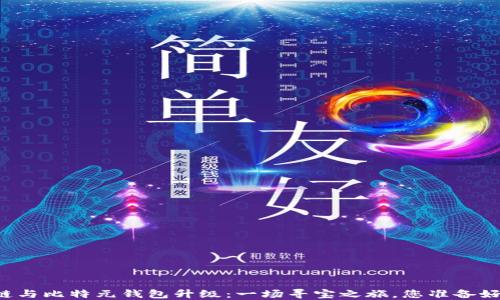 
区块链与比特元钱包升级：一场寻宝之旅，您准备好了吗？