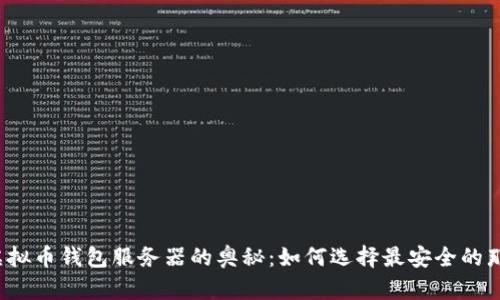 一探虚拟币钱包服务器的奥秘：如何选择最安全的那一款？