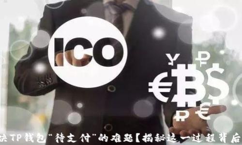 
如何解决TP钱包“待支付”的难题？揭秘这一过程背后的真相！