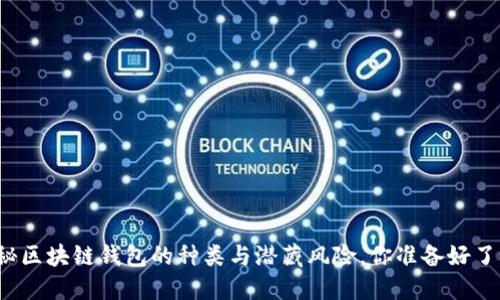 揭秘区块链钱包的种类与潜藏风险，你准备好了吗？