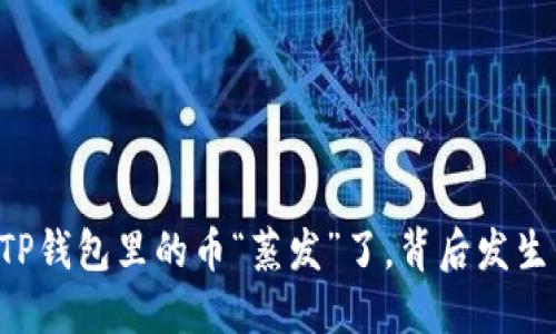 当你的TP钱包里的币“蒸发”了，背后发生了什么？