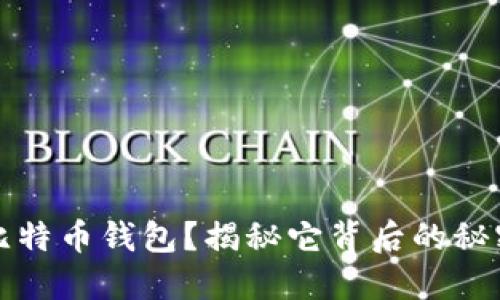 什么是比特币钱包？揭秘它背后的秘密与技巧