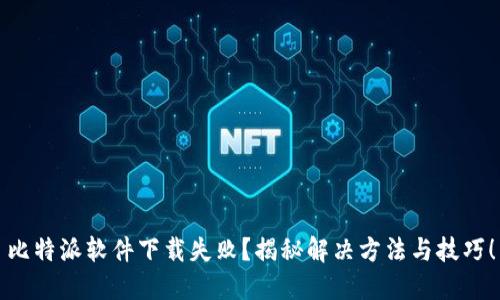比特派软件下载失败？揭秘解决方法与技巧！
