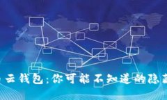 虚拟币云钱包：你可能不
