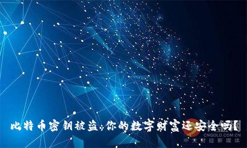 比特币密钥被盗：你的数字财富还安全吗？