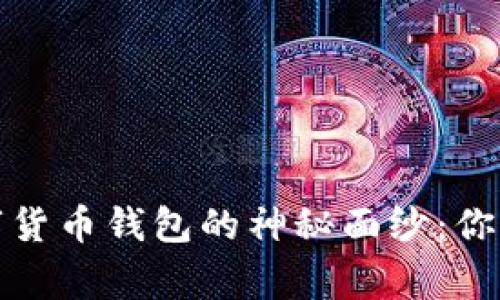 揭开加密数字货币钱包的神秘面纱：你必须知道的事