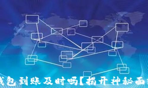 
区块链数字钱包到账及时吗？揭开神秘面纱的背后真相