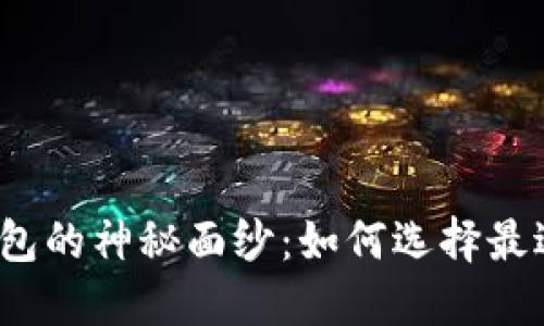 揭开比特币钱包的神秘面纱：如何选择最适合你的选择？