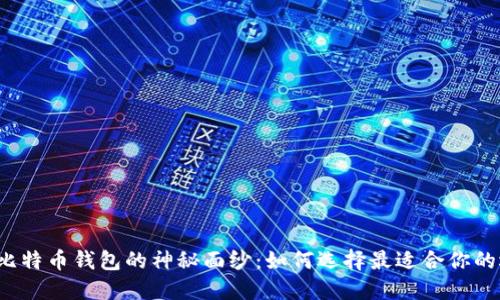 揭开比特币钱包的神秘面纱：如何选择最适合你的选择？
