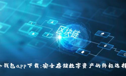冷钱包app下载：安全存储数字资产的终极选择？