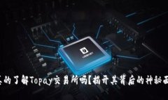 你真的了解Topay交易所吗？