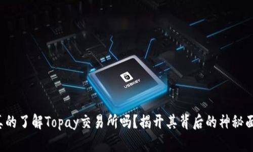 你真的了解Topay交易所吗？揭开其背后的神秘面纱！