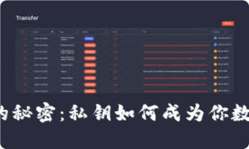 揭秘区块链钱包的秘密：私钥如何成为你数字资产的守护者？