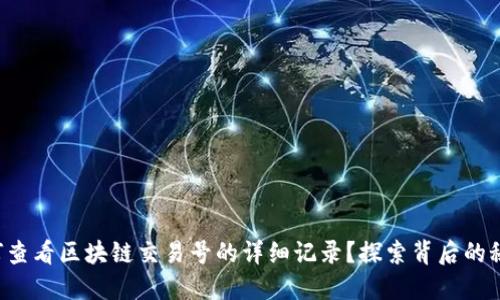 如何查看区块链交易号的详细记录？探索背后的秘密！