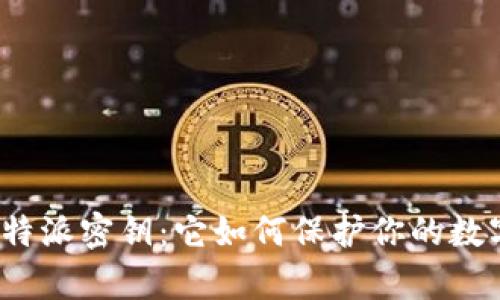 揭秘比特派密钥：它如何保护你的数字财富？