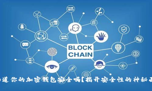 你知道你的加密钱包安全吗？揭开安全性的神秘面纱！