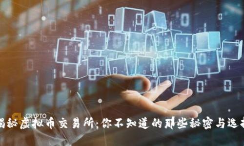 揭秘虚拟币交易所：你不知道的那些秘密与选择