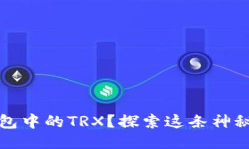 如何激活TP钱包中的TRX？探索这条神秘之路的每一步