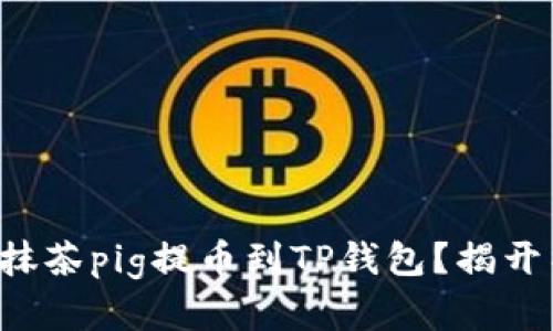 如何轻松将抹茶pig提币到TP钱包？揭开神秘的背后！