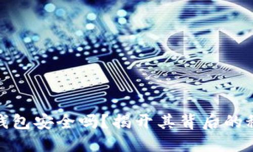 数字货币钱包安全吗？揭开其背后的秘密与挑战