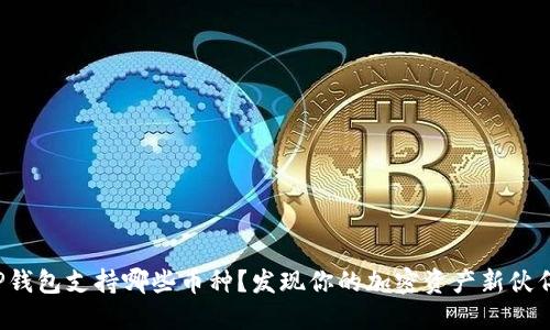 TP钱包支持哪些币种？发现你的加密资产新伙伴！
