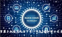 苹果手机为何无法下载T