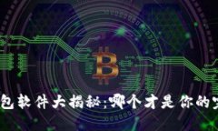 : 虚拟钱包软件大揭秘：哪