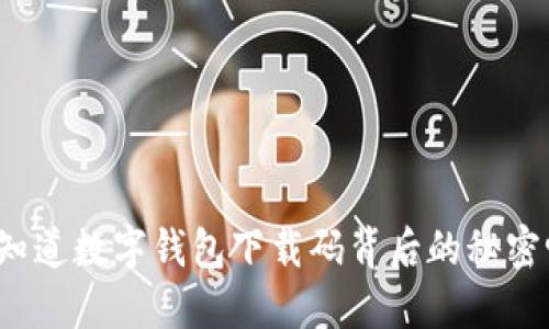 你知道数字钱包下载码背后的秘密吗？