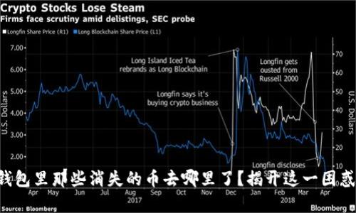 你的TP钱包里那些消失的币去哪里了？揭开这一困惑的真相！