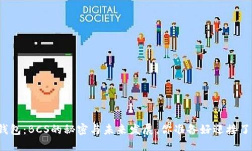 TP钱包：BCS的秘密与未来发展，你准备好迎接了吗？