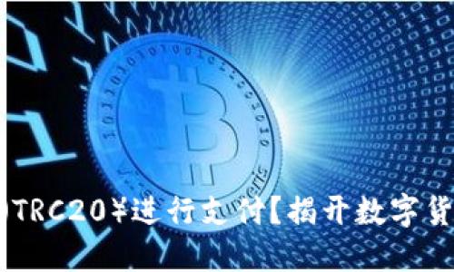 如何使用USDT（TRC20）进行支付？揭开数字货币的神秘面纱！