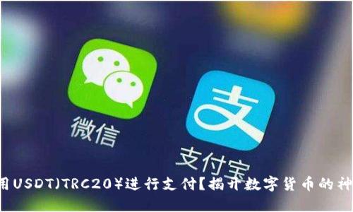 如何使用USDT（TRC20）进行支付？揭开数字货币的神秘面纱！