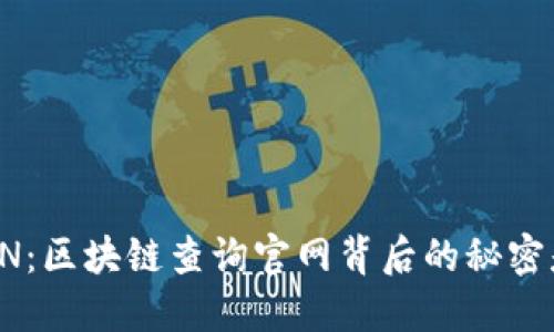 探秘BSN：区块链查询官网背后的秘密是什么？
