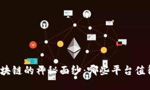 揭开区块链的神秘面纱：哪些平台值得关注？