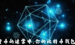在数字货币的迷雾中，你