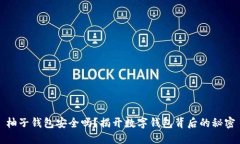 柚子钱包安全吗？揭开数