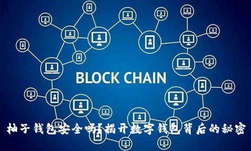 柚子钱包安全吗？揭开数字钱包背后的秘密