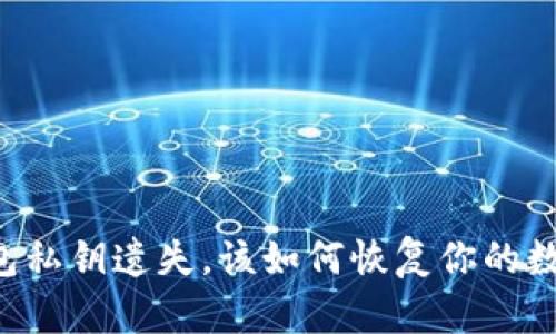 当TP钱包私钥遗失，该如何恢复你的数字资产？