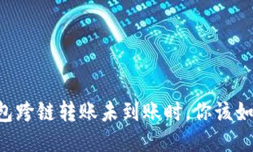 当TP钱包跨链转账未到账时，你该如何应对？